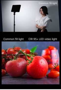 Ulanzi LT003 10 Inch RGB Video Lamp 15W 21 Ulanzi LT003 10 Inch RGB Video Lamp 15W -Pro Cam Shop 9b8a 8aff 4ccd bd8c 2fee2ce26e8c